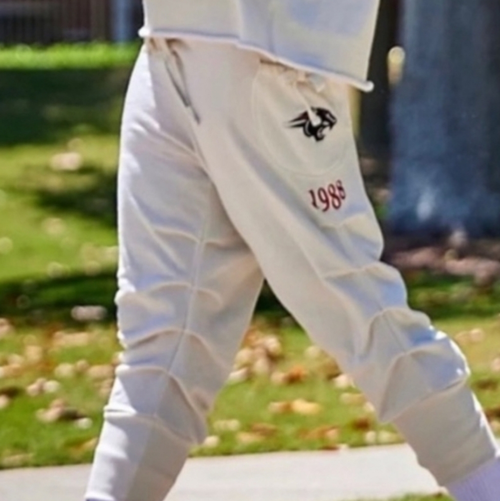 Free People X Summer ClassHBCU Clark AtlantaUniversity Panthers Joggers